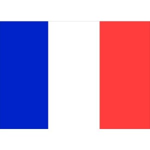 Flag Courtesy France 45 x 30cm