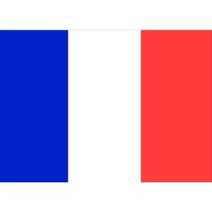 Flag Courtesy France 45 x 30cm