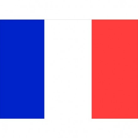 Flag Courtesy France 45 x 30cm